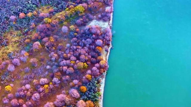 玛曲：黄河岸秋末冬初的絮语