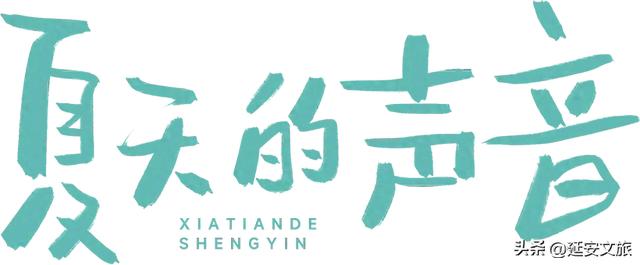 暑期游延安｜夏日奔赴，邂逅乾坤湾的万般美好