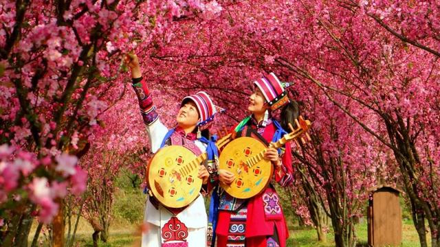 3月7日至8日，女性游客免门票游乃古石林风景区