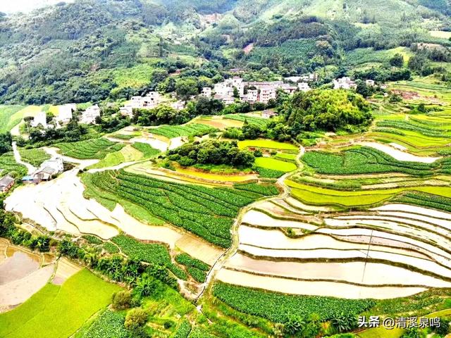 五山清波记