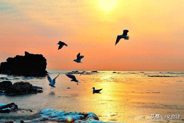 秦皇岛旅游攻略：跨越山海的历史浪漫之旅，体验超好！