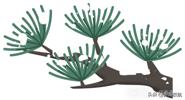 翠峦驭雪 燃情越野 2025年冬季林海雪原汽车越野活动开幕
