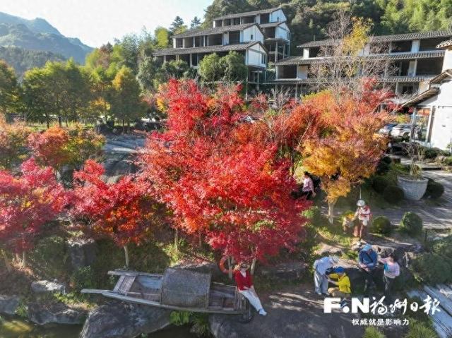九峰村迎来红叶季