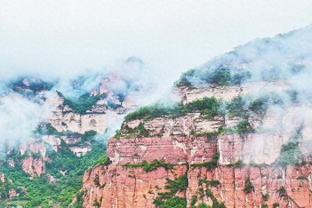 五市协同联动 呈现四大亮点