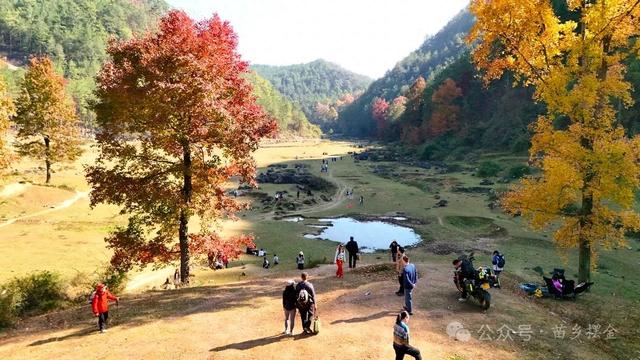藏在苗乡里的“阿勒泰”：摆金镇卜所村秋色美景火爆出圈