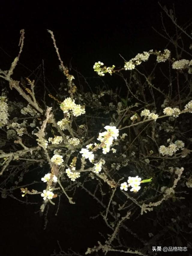 熟人关系的保鲜剂：避开5个毁灭型陷阱