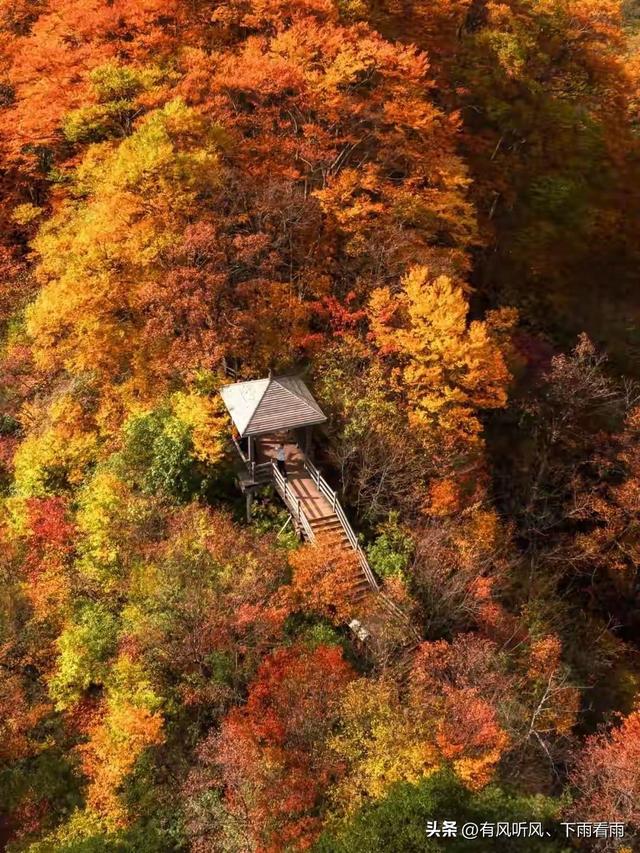 秋染山河
