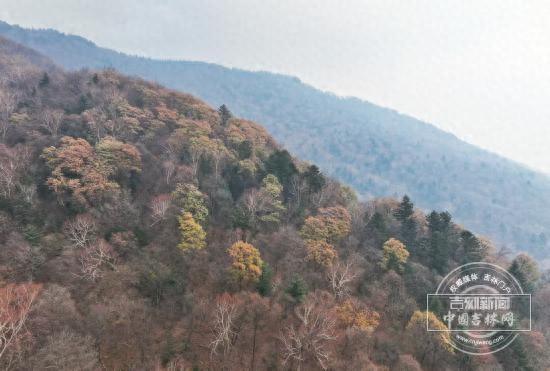 聚焦G334｜吉林第一高峰藏不住了！