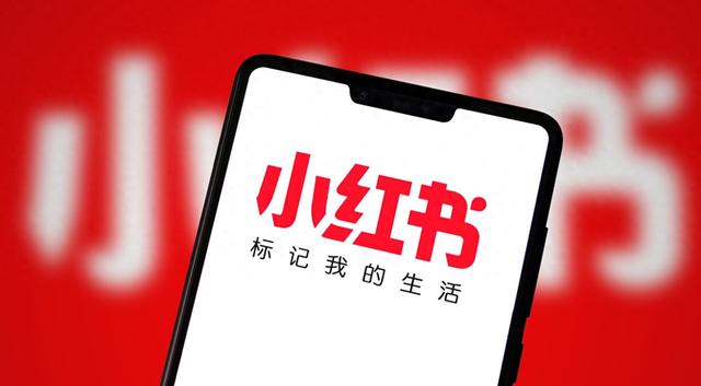 举“二次元”的旗，小红书学B站？