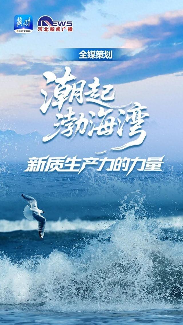 潮起渤海湾•新质生产力的力量 | 大国重器“智”造新高度