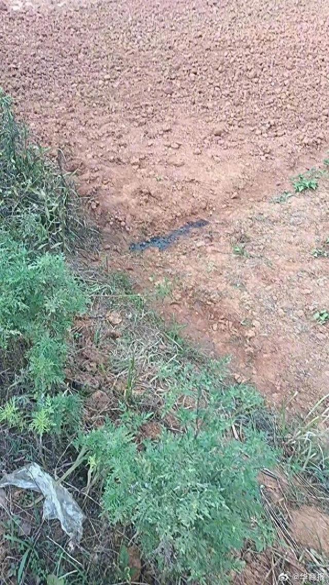 南昌一农民工在农田方便时遭枪击身亡，肇事者投案自首