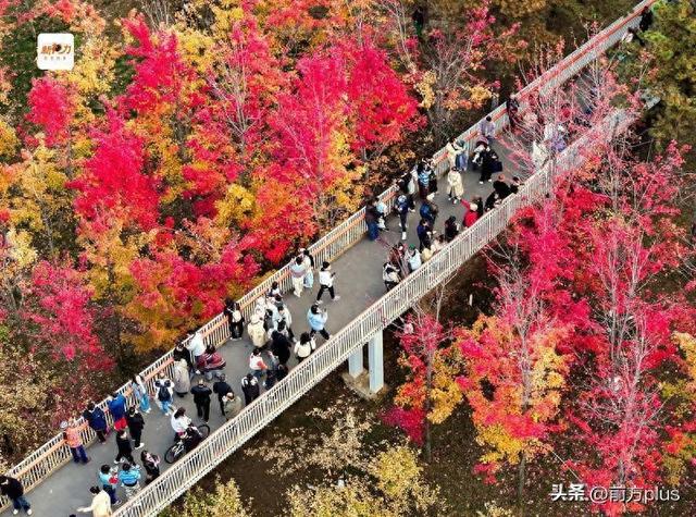 古城与秋叶的交响