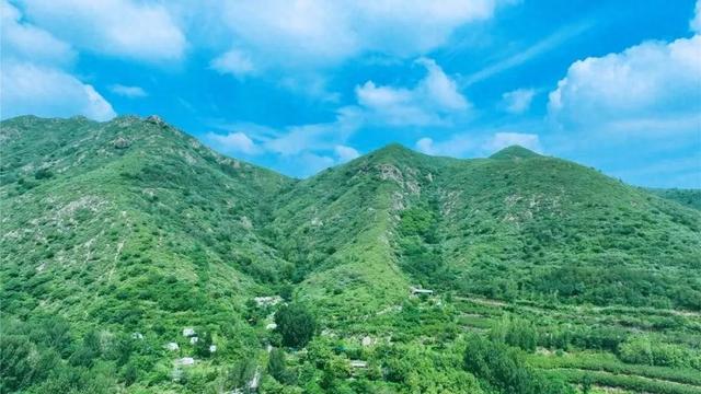 邹平市西董街道：一场夏雨后 山水换新颜