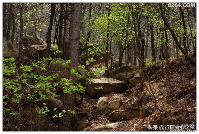 山东行游影记（22）—临沂蒙山（三）