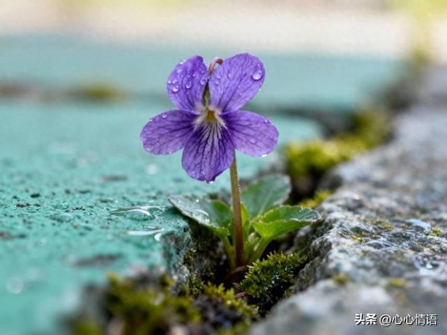 两性关系：60多岁的阿姨们坦言，女人找老伴，最大的需求是这一点