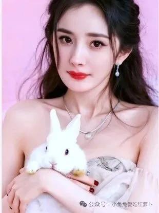 好羡慕大幂幂那只兔子啊