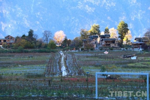 秘境色龙，川西桃源静待花开