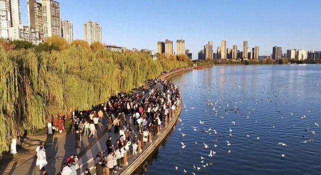 追着候鸟到汉中