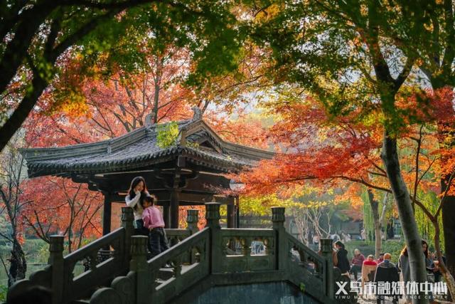 顶流来了！在骆宾王公园