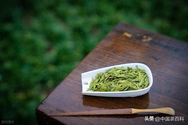 龙井茶属于什么茶（西湖龙井凭什么是绿茶中的王者这5个点）