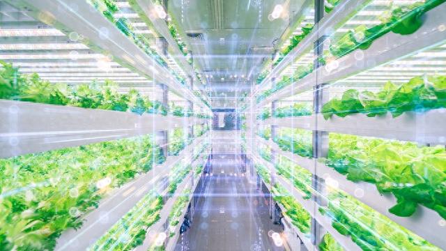 打造全国农业科创中心，平谷区建设千升级中试生产线及AI生物设计转化平台