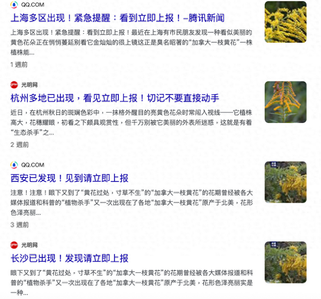 这个原产美国的物种，正疯狂侵占中国的农田、大规模屠杀动植物