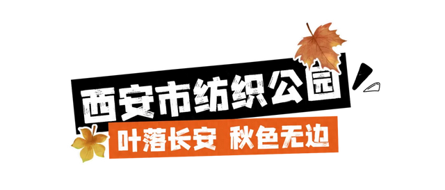 走进西安4大免费开放的宝藏公园