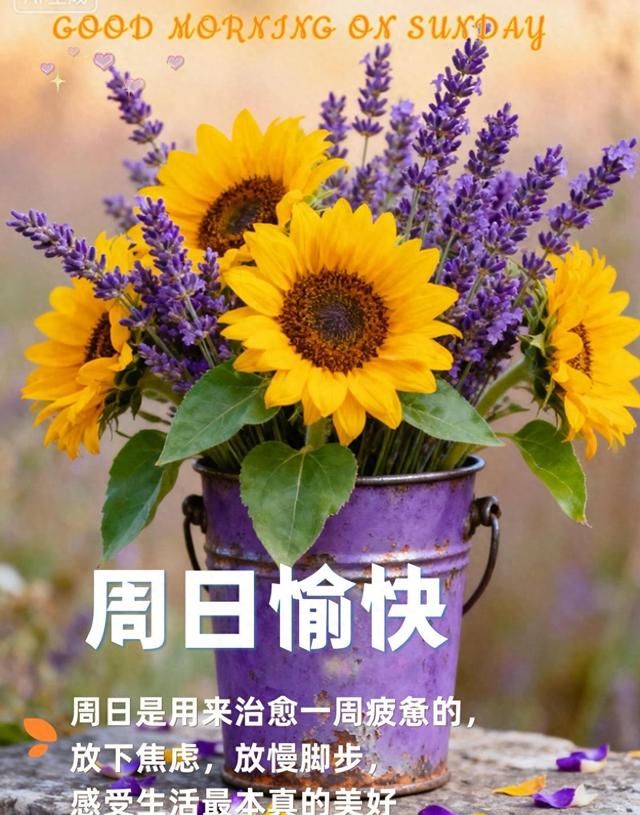 周末晨光中醒悟，平凡日子藏着幸福，内心宁静成最强伙伴