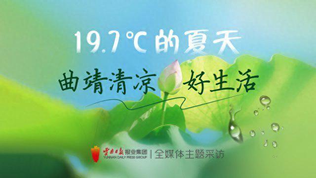 曲靖清凉好生活｜“小程序指路寻景，川味饭暖透心窝……”避暑客到这就不想走！