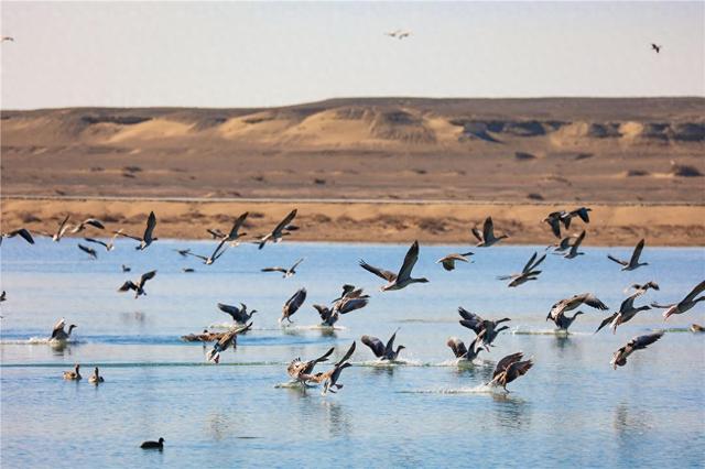 景美如诗居延海