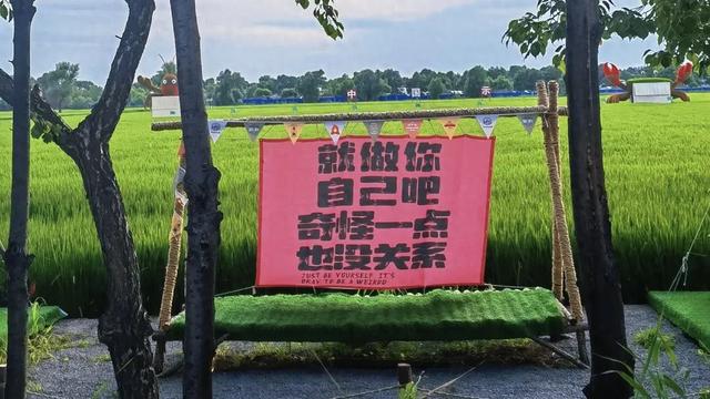 闫家岗的稻田会画画：带老妈打卡哈尔滨新地标