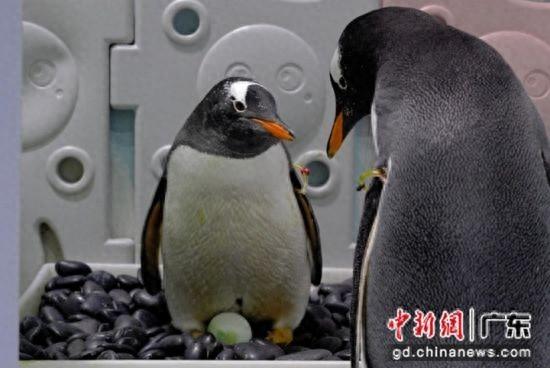 广州多个景区推出优惠措施迎十五运会