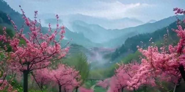 人这一辈子命好不好，就看六十岁以后，有没有具备这4个条件