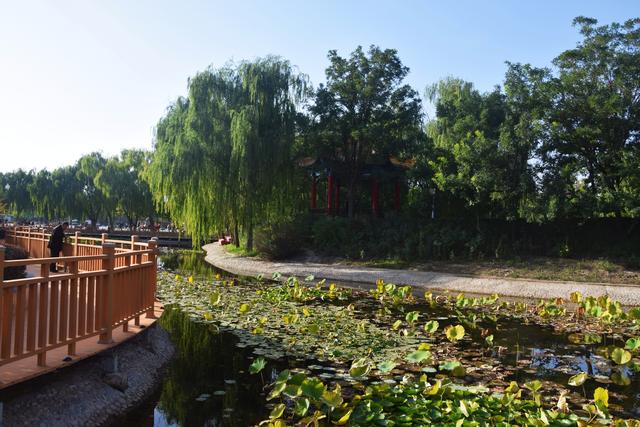 组图丨武威秋景：满目斑斓色 一园清雅风