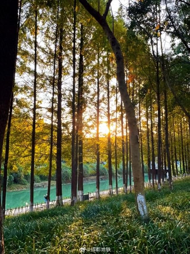 地铁直达！升仙湖公园美得像油画世界