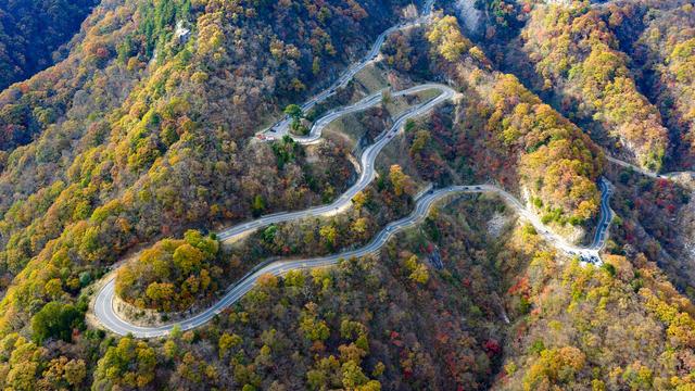 山道弯弯秋色浓