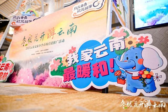 “彩云之南”喊话“白山黑水”：冬暖花开游云南啦