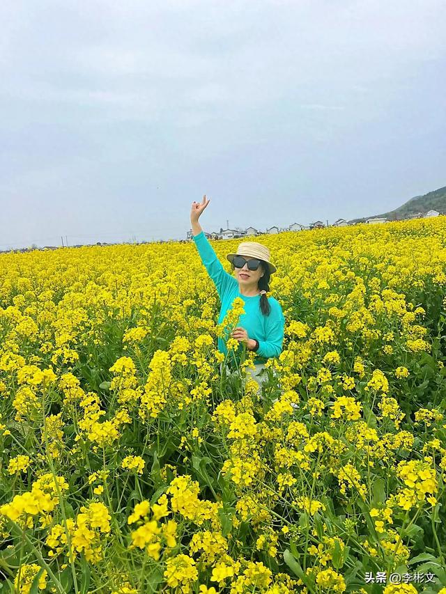 散文·汉中四月，油菜金黄·