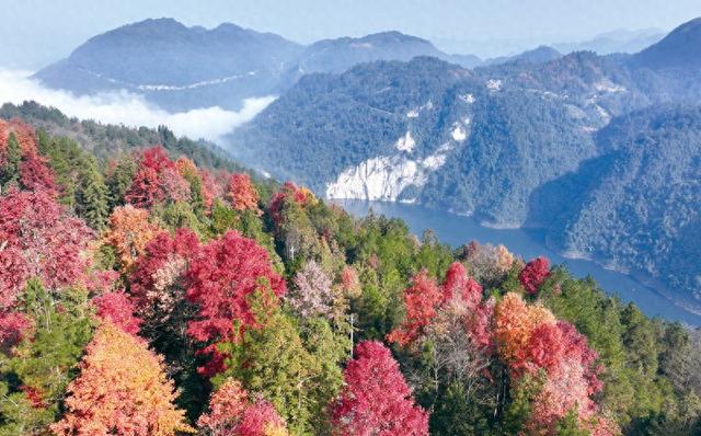 湖北宣恩斑斓冬韵