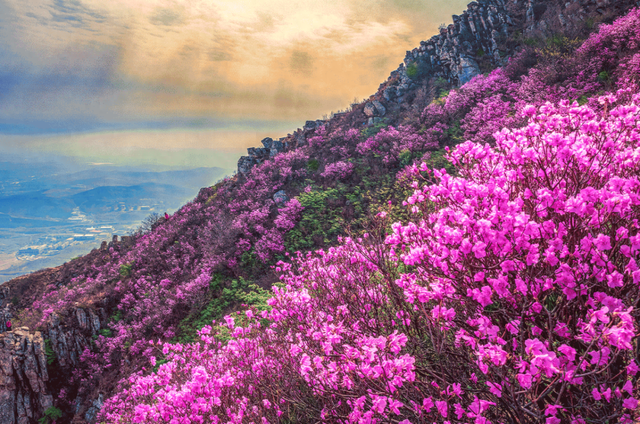 今起，大连大黑山景区执行旺季运营时间！