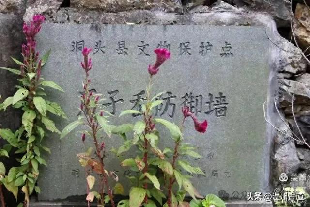 温州地理∶石子岙的防御墙,留给后人无尽的想像与猜测