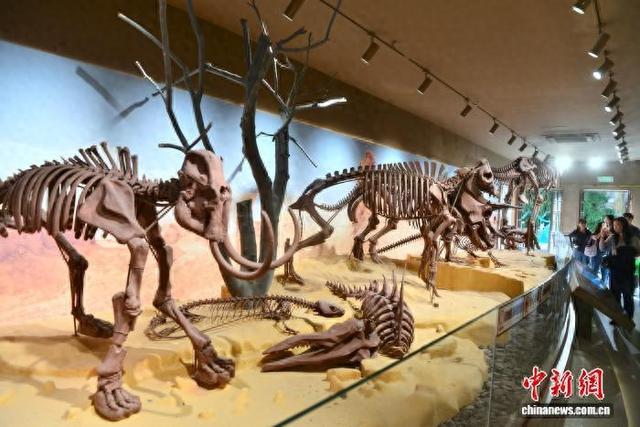 福州：巧克力博物馆吸引参观者