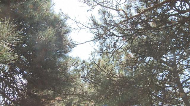 悠然家乡，蓝天白云，青山绿水，自然之美无处不在。请到大美盘山来（第643篇）