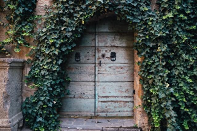 被遗弃的房子攻略（被遗弃的旧房子里）