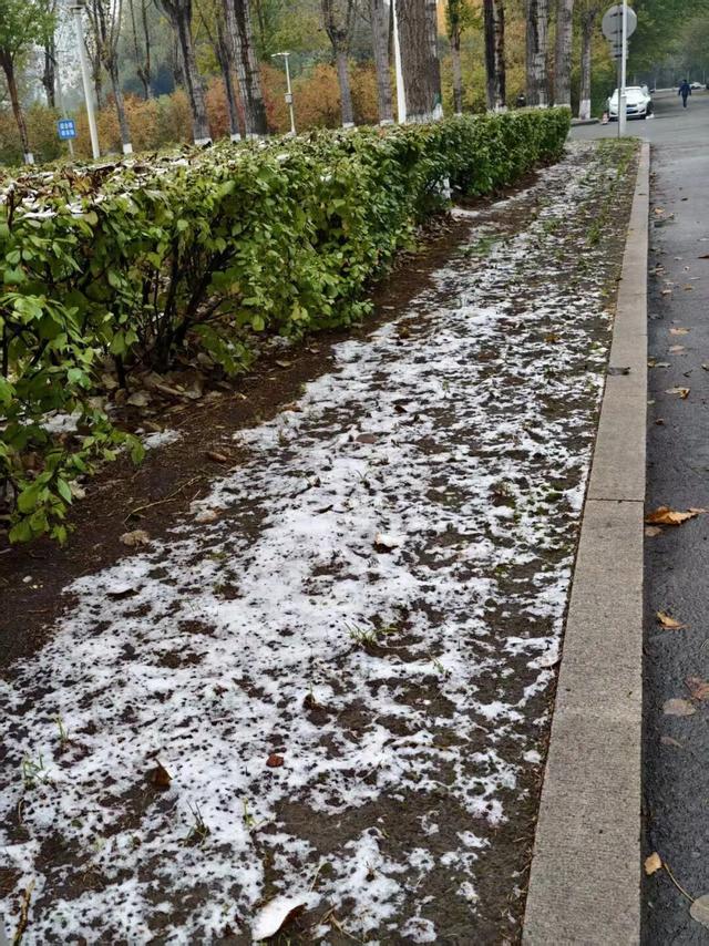 哈尔滨，下雪了！