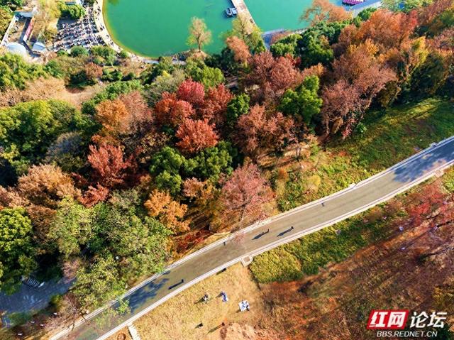 长沙人的周末：去烈士公园赴一场秋冬之约