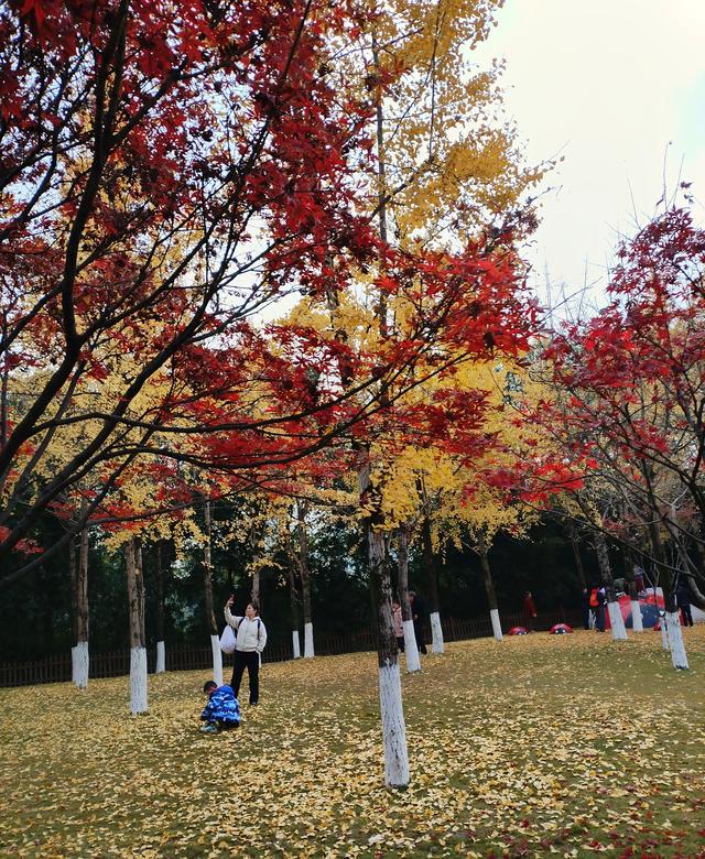 盘溪河的冬，藏着山城最温柔的秋意
