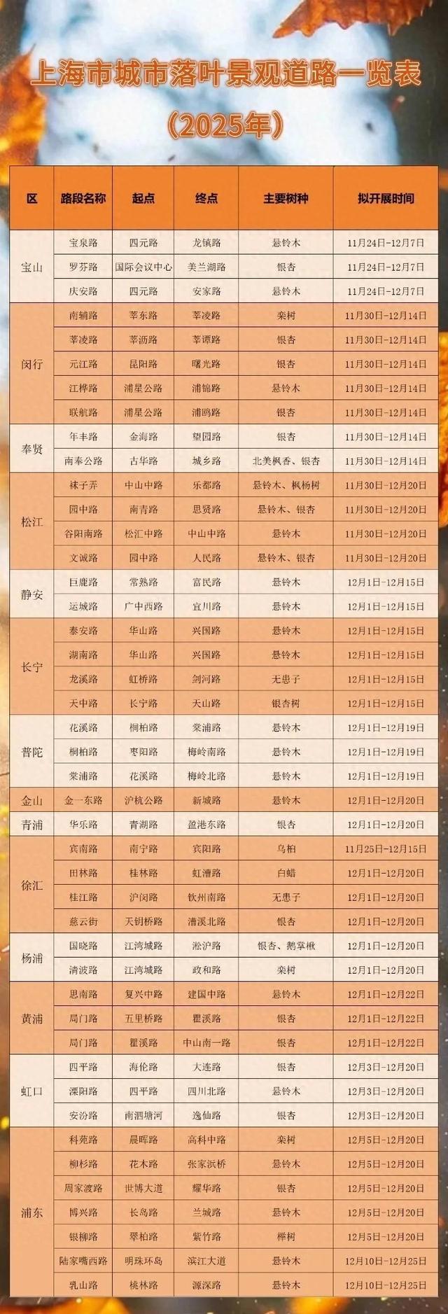 秋日限定|“落叶不扫”模式开启,44条景观道观赏指南请收藏!