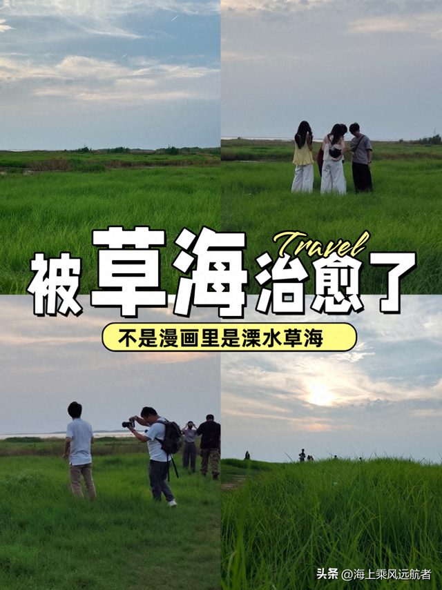 别再找秋天的海了！南京溧水这片草海才是顶流，我已去过了