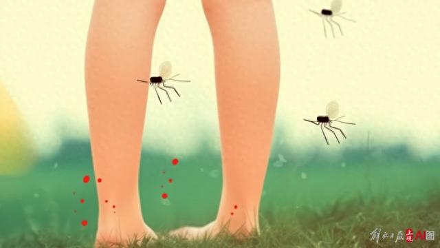 中山大学团队“巨蚊杀手”引关注，经济日报：“以蚊治蚊”彰显生物防疫好前景
